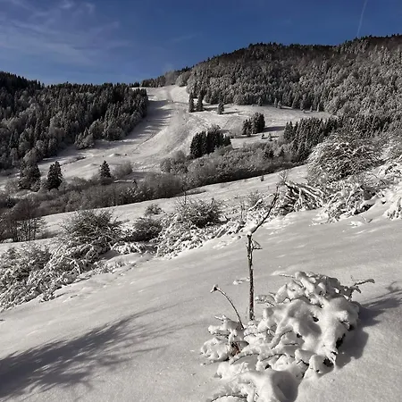 Stecher's Huesli Apartment Titisee-Neustadt