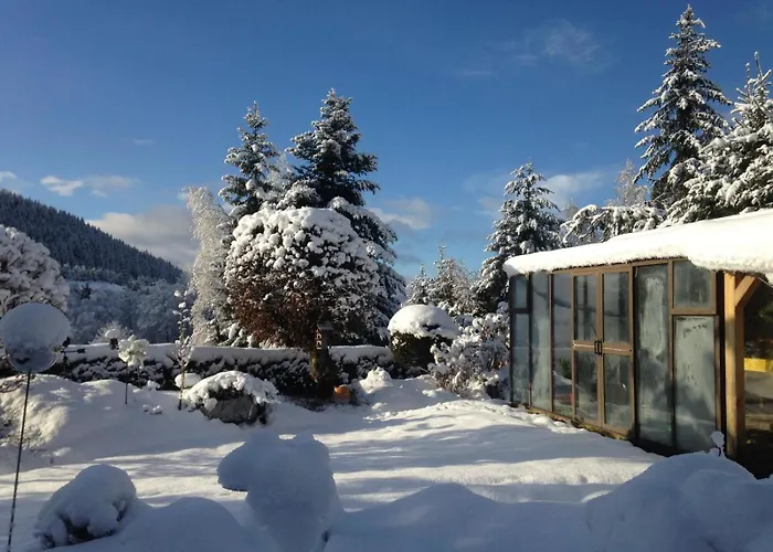 Apartamento Stecher's Hüsli Titisee-Neustadt