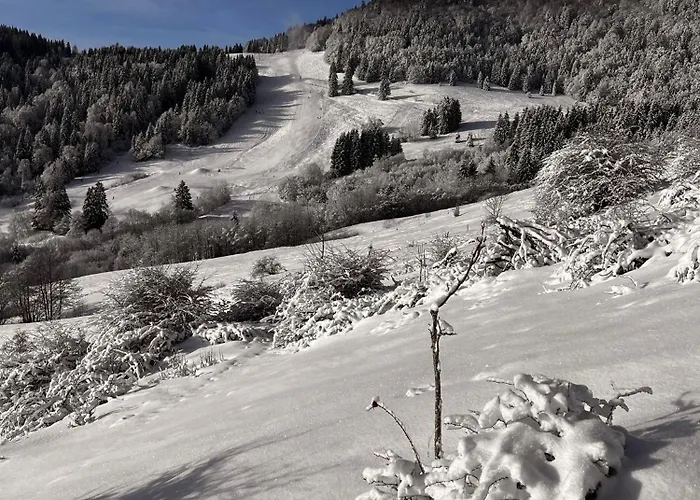 Stecher's Hüsli Apartamento Titisee-Neustadt